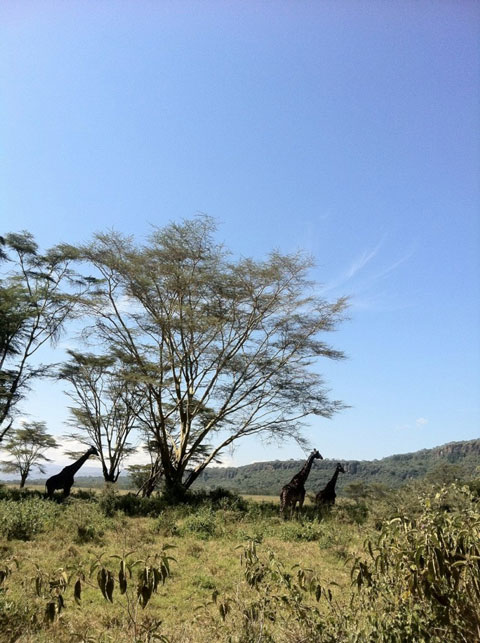 kenya1